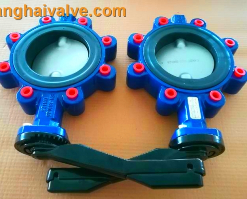 lug type butterfly vlave (12)