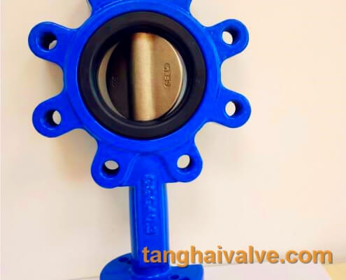lug type buttefly valve