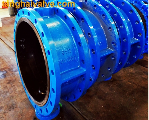 Double flange butterfly valve (1)