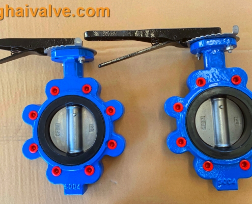 lug type butterfly vlave (7)