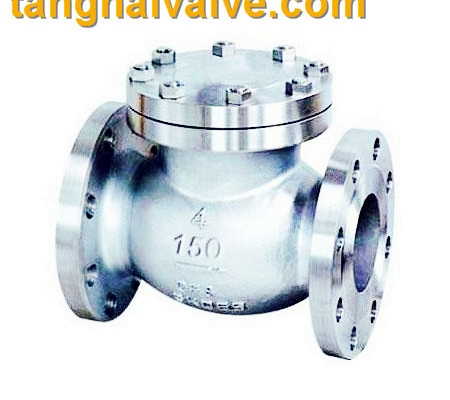 lifting check valve (1)